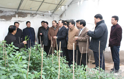 甘肅省政府督查組赴麥積區開展商貿領域專項督查